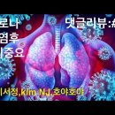 코로나 가염 후 관리 및 대책 / 댓글리뷰 #34: 비타민K1, 수은킬레이션, 멀티비타민 이미지