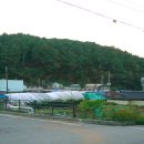 이동백 소리길 이미지