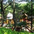 금련산청소년수련원 이미지