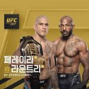 상대 다운 당했는데 파운딩 안치고 살려주는 UFC 선수 이미지