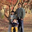 탄중로 101번길 | 에이블 유모카 플러스 트라이크 오프라인 구매 내 돈 내산 후기