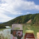 양구 벌꿀 이미지