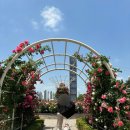 중랑천 제3체육공원 이미지