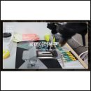 대구휴대폰데이터복구, 내 자산처럼 소중하게