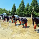 정읍시 농업기술센터 이미지