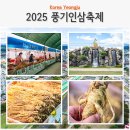 경북영주 풍기인삼축제 | 영주 가볼만한곳 10월 축제 2025 경북 영주 풍기인삼축제
