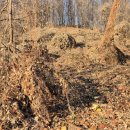 돌안말운동장 이미지