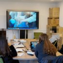 서울애견미용실 이미지