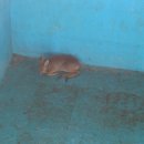 장천1길 이미지