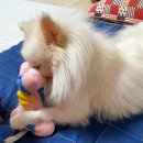 그루밍케이 이미지