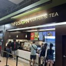 더인퓨전식당 | 괌 신혼여행 일정 공유 2일차-2 | 돈키호테 방문 + 코코이치반야 + 인퓨전커피