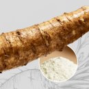 디토 | 디토락스 유산균 내돈내산 후기｜가격·효과·복용법·부작용 정리