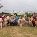 애개 하우스 이미지