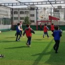 합기도 심무도관 이미지