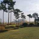 마곡하늬근린공원 이미지