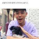 니나펫카페 네이버블로그
