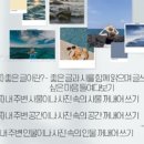 사진첩이야기