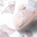 경희다시봄한의원 이미지