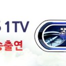 헤어인필
