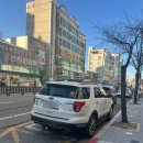 멍블리스 이미지