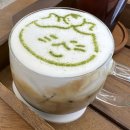 제주냥이