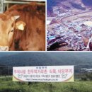 신선한우영농조합법인 이미지