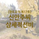 신안주씨 삼세적선비 | [시흥의 문화유산] 신안주씨 삼세적선비