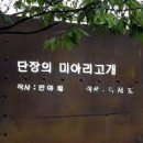 개단장 이미지
