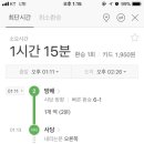 개소비