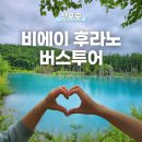 희수농장 | 삿포로 비에이 후라노 버스 투어 여름 여행추천! 팜도미타 청의호수 흰수염폭포 사계채의언덕 코스