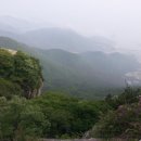 남해조경농원 이미지