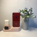 지일농장 | [애플] 애플워치 10개월차 후기⌚️(feat. 지일의 사과농장🍎)