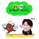 찬스당구재료 | <11월 일기> 겨울의 꿈에서 부는 하얀 눈꽃