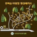서귀포자연휴양림 이미지
