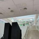 서울미디어시티비엔날레 &lt;이것 역시 지도&gt; 서울시립미술관, 서울역사박물관 서울전시후기