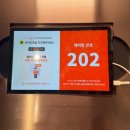상현약국 | [ALD1] 두 번째 시도 끝에 성공한 하이디라오 알파드라이브원 알디원 세트 (씬롱 소스, 1차 굿즈 후기)