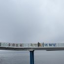 대진바다마트 | 묵호 1박 2일 여행 코스 볼거리 맛집 카페 소품샵