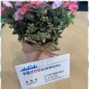 한방공인중개사사무소 이미지