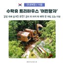 수락산 자연휴양림 '수락휴 어린왕자' 단 3채뿐인 트리하우스 직접 가봤습니다