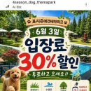 포시즌파크 | 안성 대형견 수영장 포시즌애견테마파크 재방문 후기 운동장 목욕까지 3만원대 이용