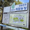 춘전목장 이미지