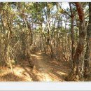 시례농장 이미지