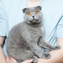 도청동물병원 이미지