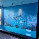 쑤기네 풀 이미지