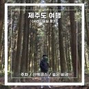 사려니숲길 | [제주도 여행] 사려니숲길 후기 :: 주차 / 산책코스 / 숨은 비경