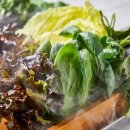 쌈이랑고기랑 이미지