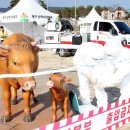 북구종합운동장 제2축구장 이미지