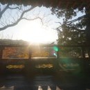 나동 42호