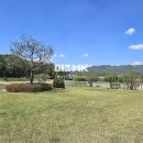 봄날부동산중개사무소 이미지