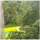 457 | 평택 포장이사 업체 영구크린 457호점 내돈내산 후기